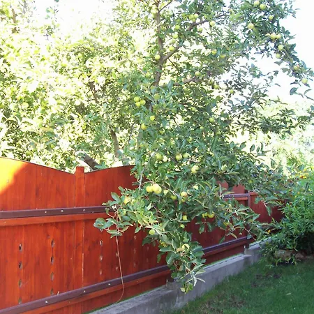 Haus Martha Homestay szállás *